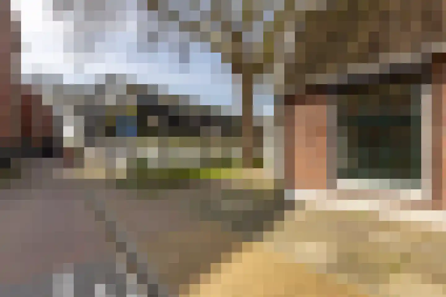Korte Dijk 35 Schoonhoven thumbnail 36