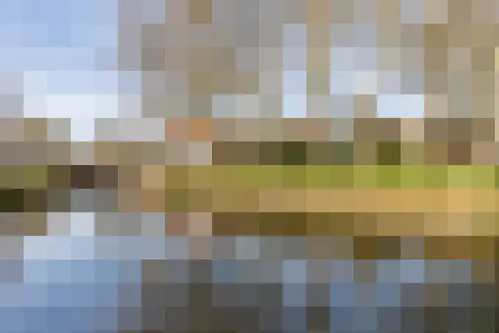 Korte Dijk 35 Schoonhoven thumbnail 42
