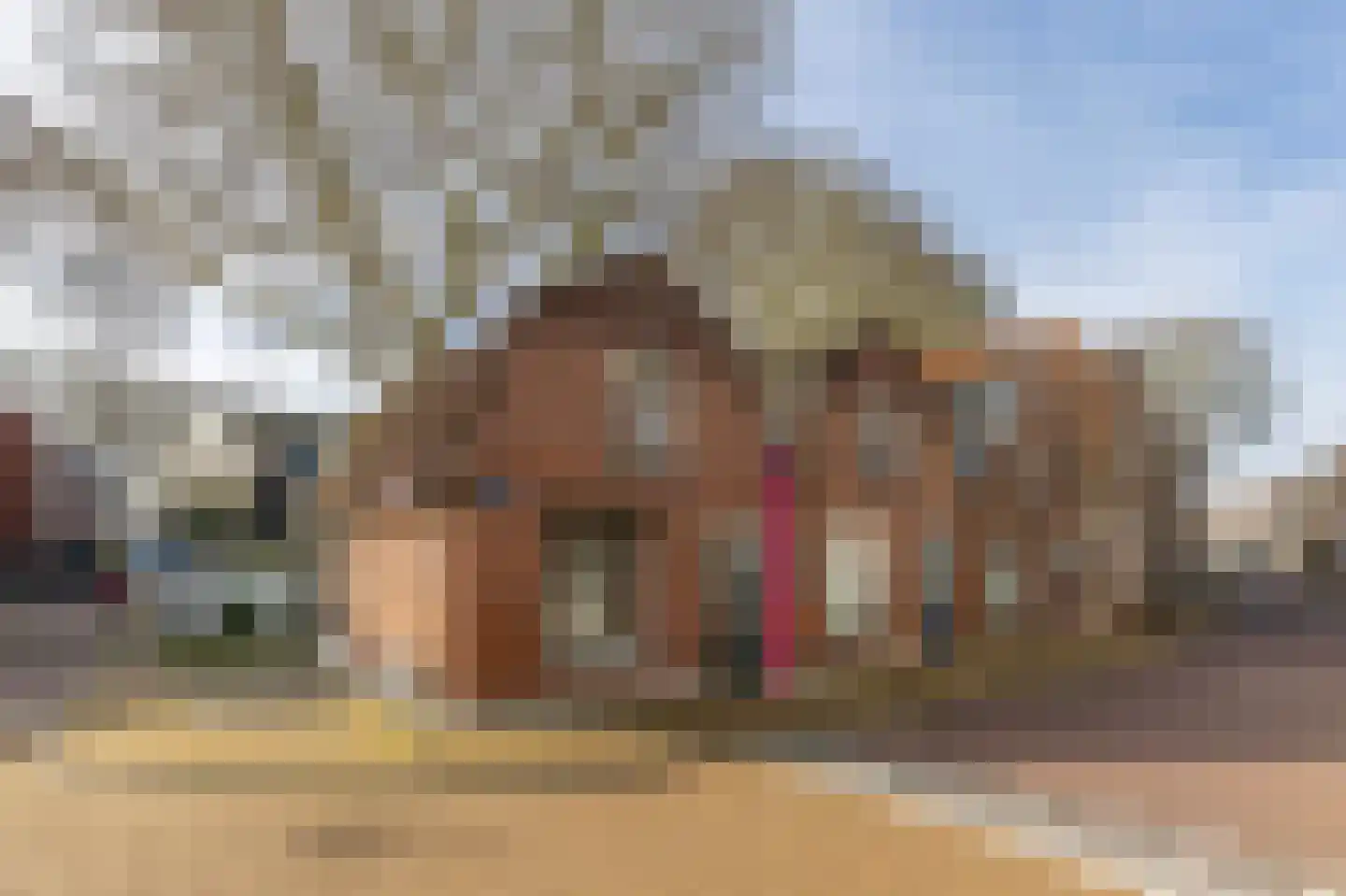 Korte Dijk 35 Schoonhoven thumbnail 47