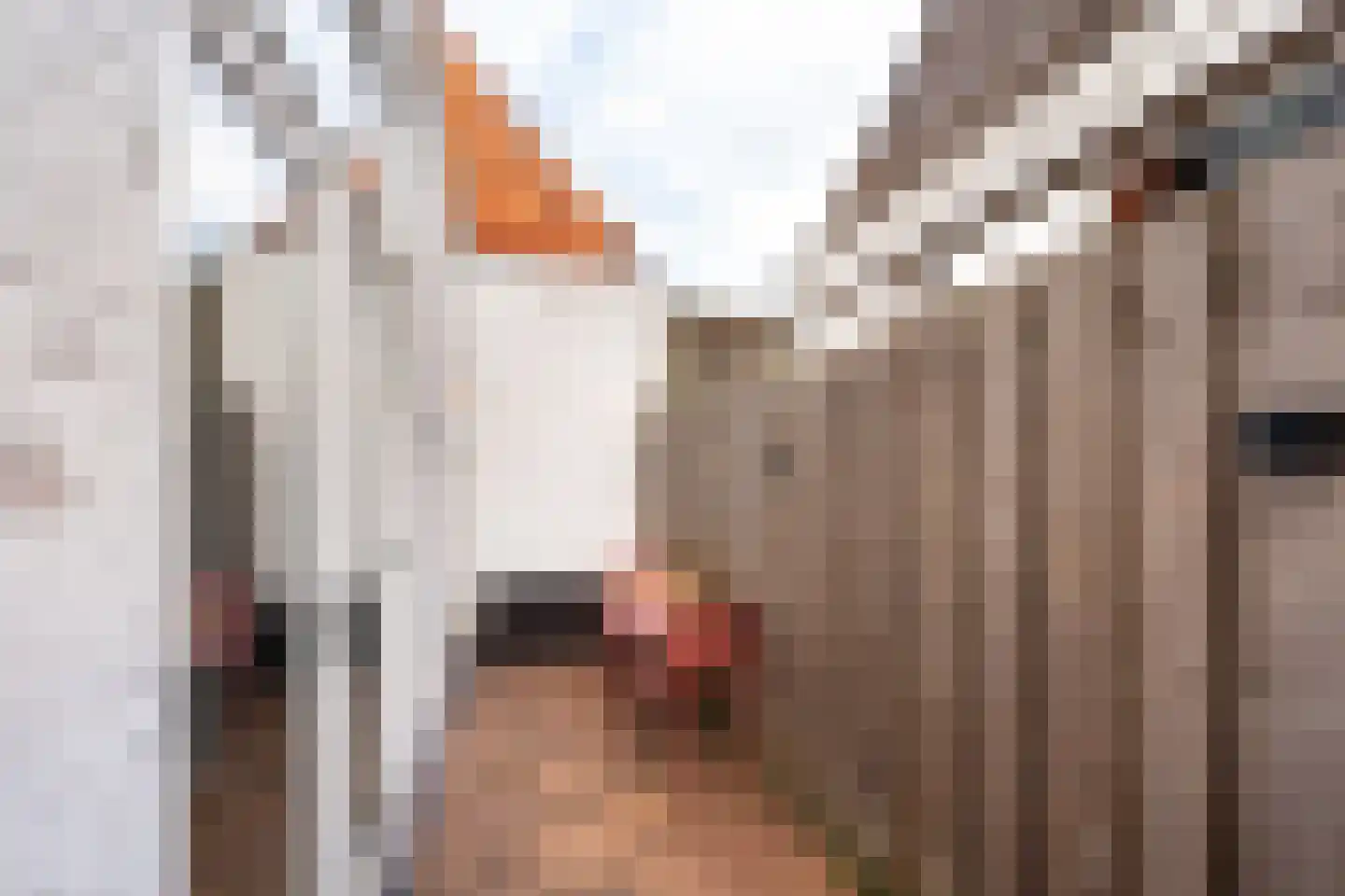 Korte Dijk 5 RD Haarlem thumbnail 17