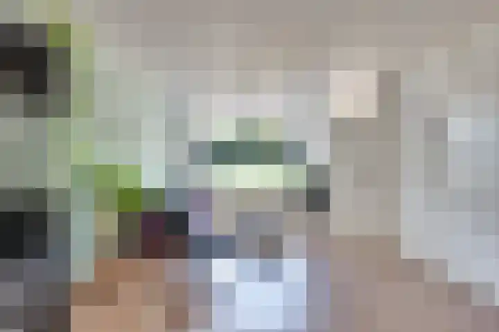 Korte Dijk 53 Hilvarenbeek thumbnail 12