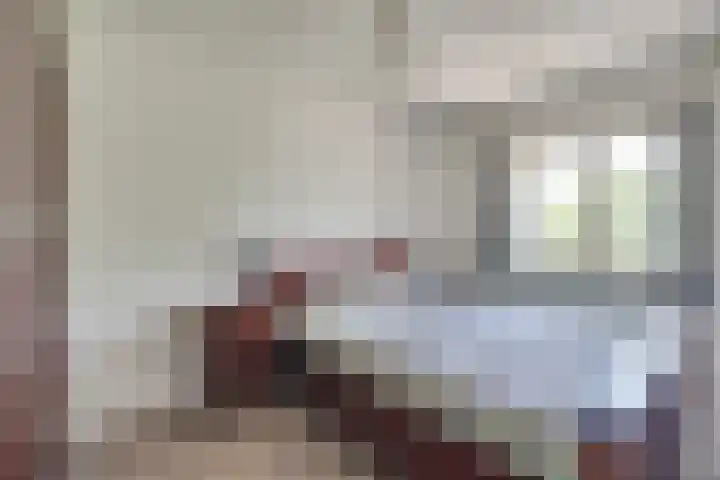 Korte Dijk 53 Hilvarenbeek thumbnail 21