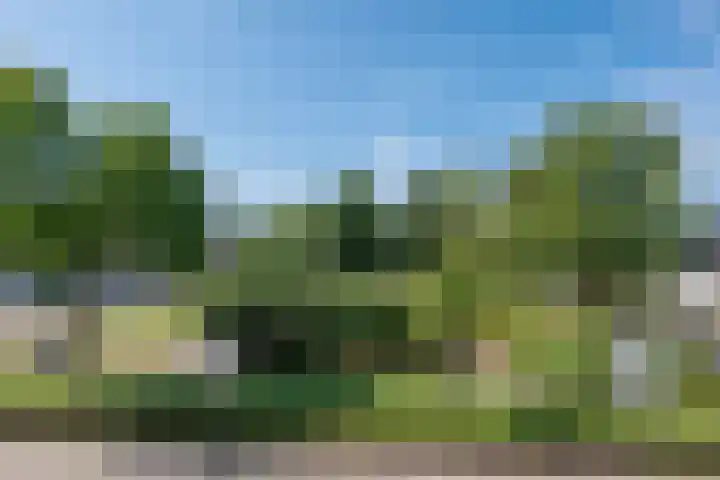 Korte Dijk 53 Hilvarenbeek thumbnail 22