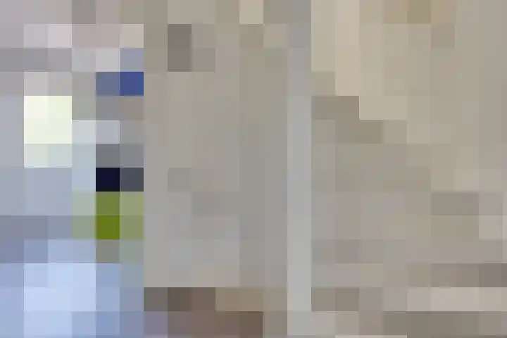 Korte Dijk 53 Hilvarenbeek thumbnail 28