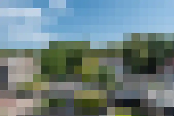 Korte Dijk 53 Hilvarenbeek thumbnail 32