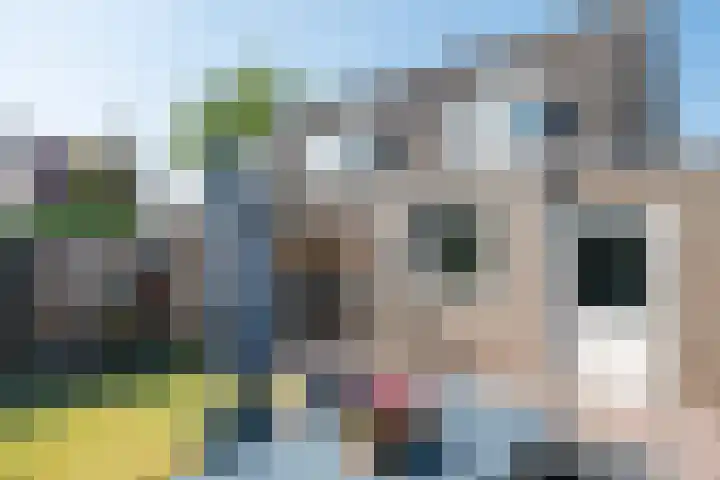 Korte Dijk 53 Hilvarenbeek thumbnail 37