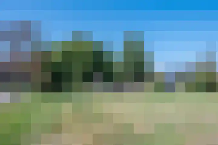 Korte Dijk 53 Hilvarenbeek thumbnail 40