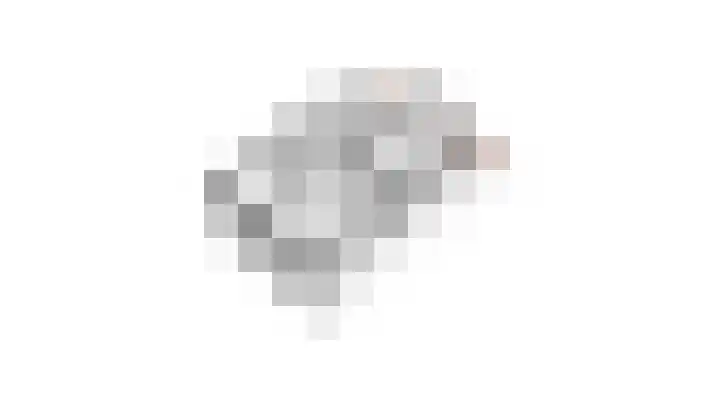 Korte Dijk 53 Hilvarenbeek thumbnail 48