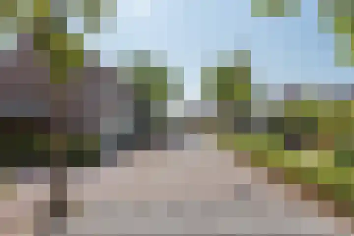 Korte Dijk 53 Hilvarenbeek thumbnail 6