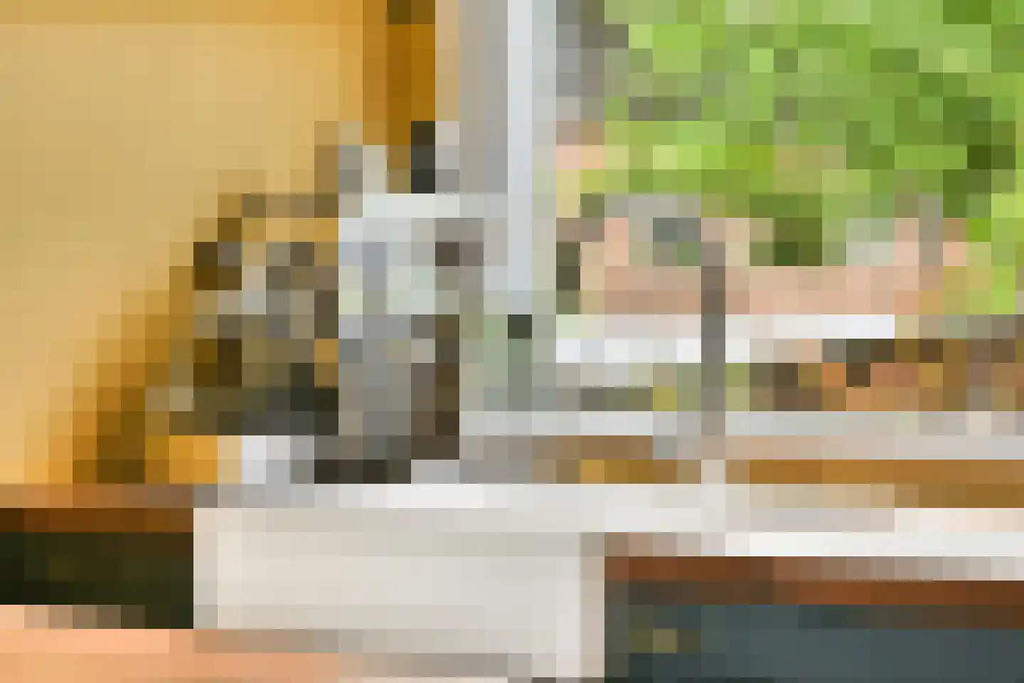 Korte Distelstraat 2 Amsterdam thumbnail 12