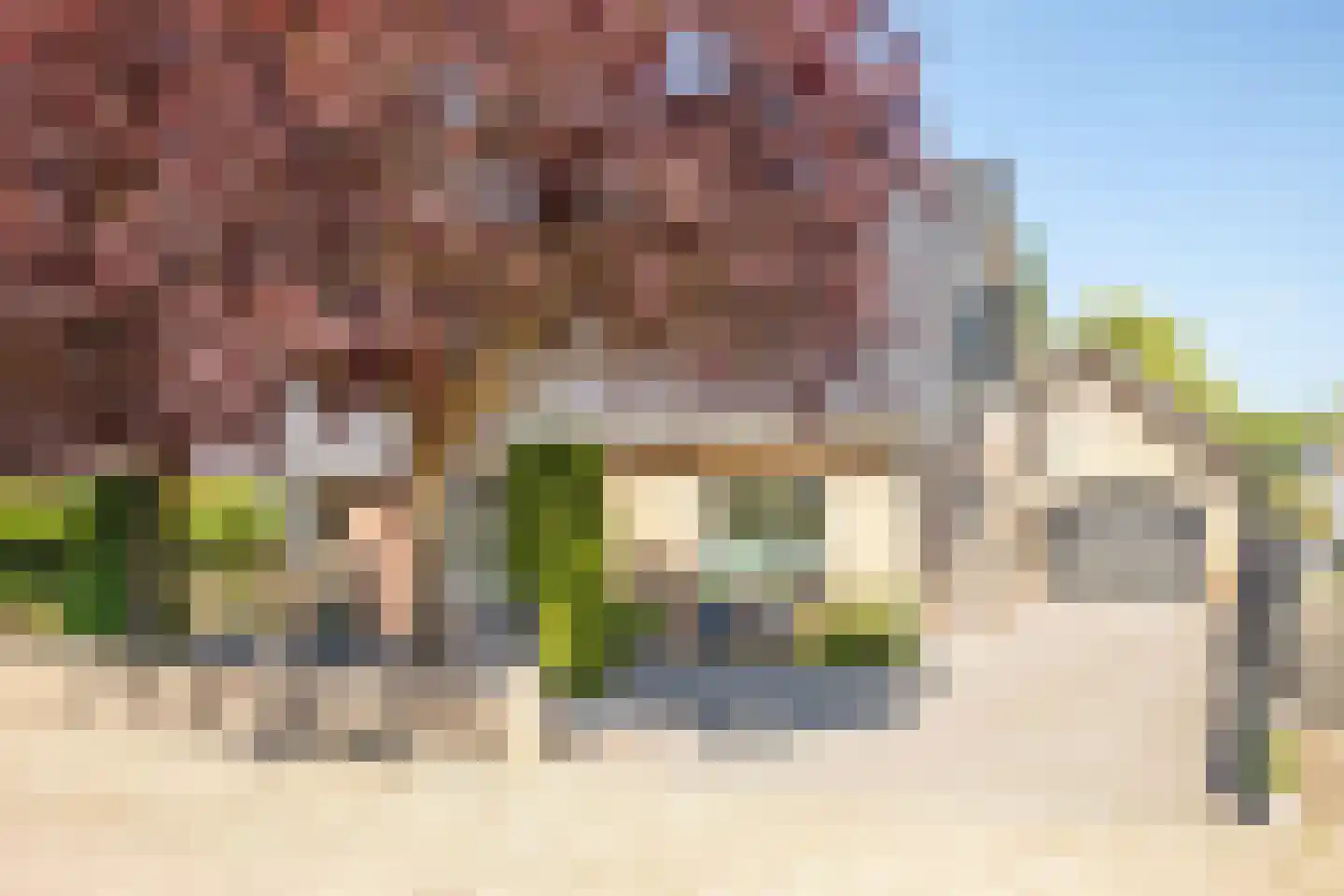 Korte Dorpsstraat 4 Kerk-Avezaath thumbnail 10