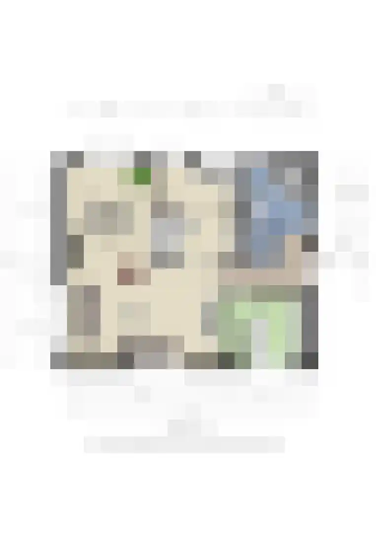Korte Dorpsstraat 4 Kerk-Avezaath thumbnail 101