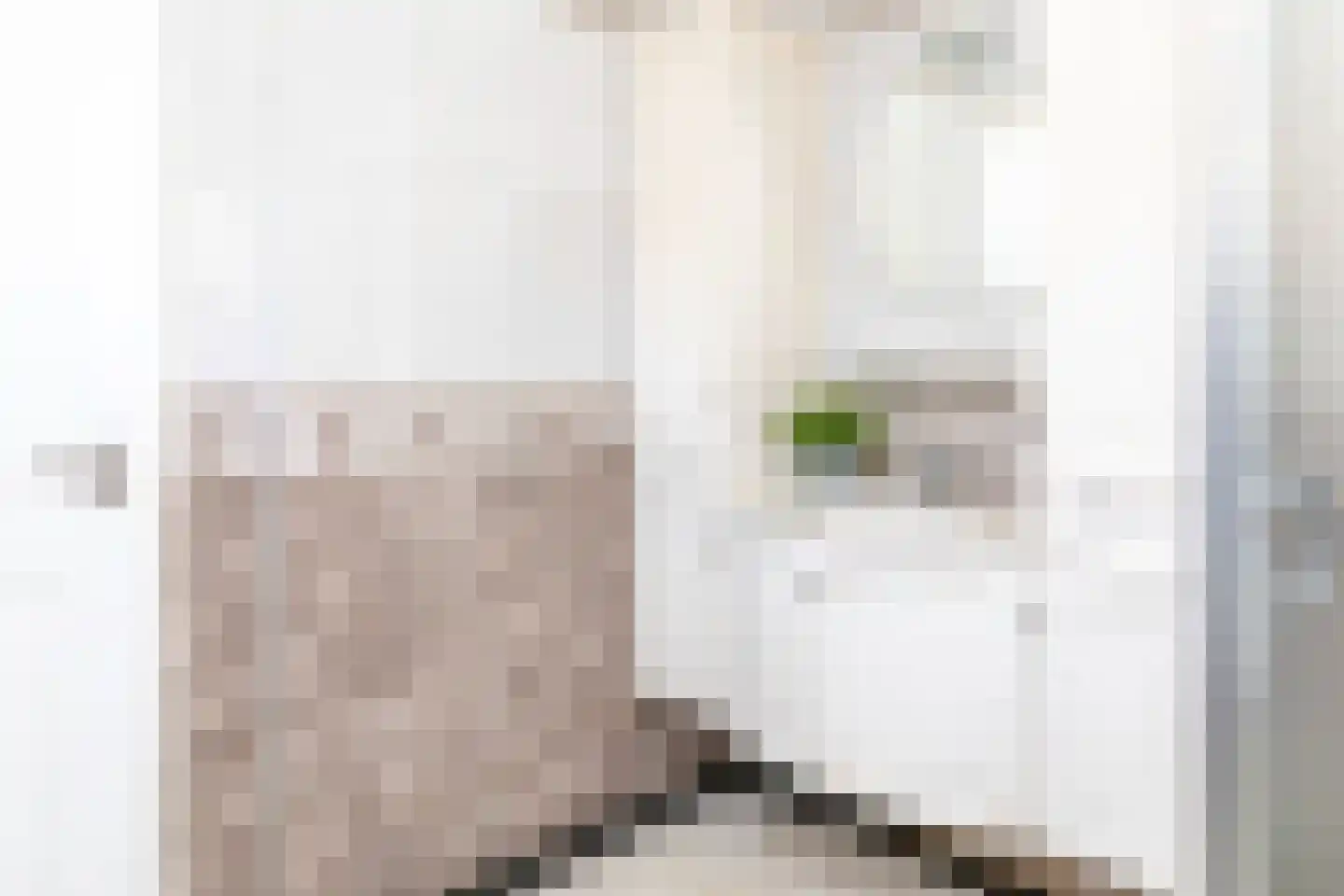 Korte Dorpsstraat 4 Kerk-Avezaath thumbnail 30