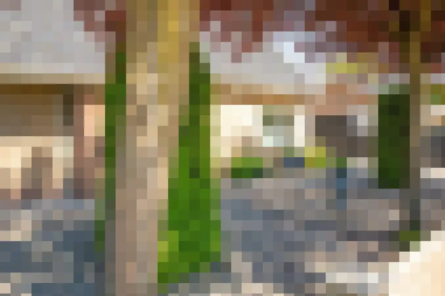 Korte Dorpsstraat 4 Kerk-Avezaath thumbnail 45
