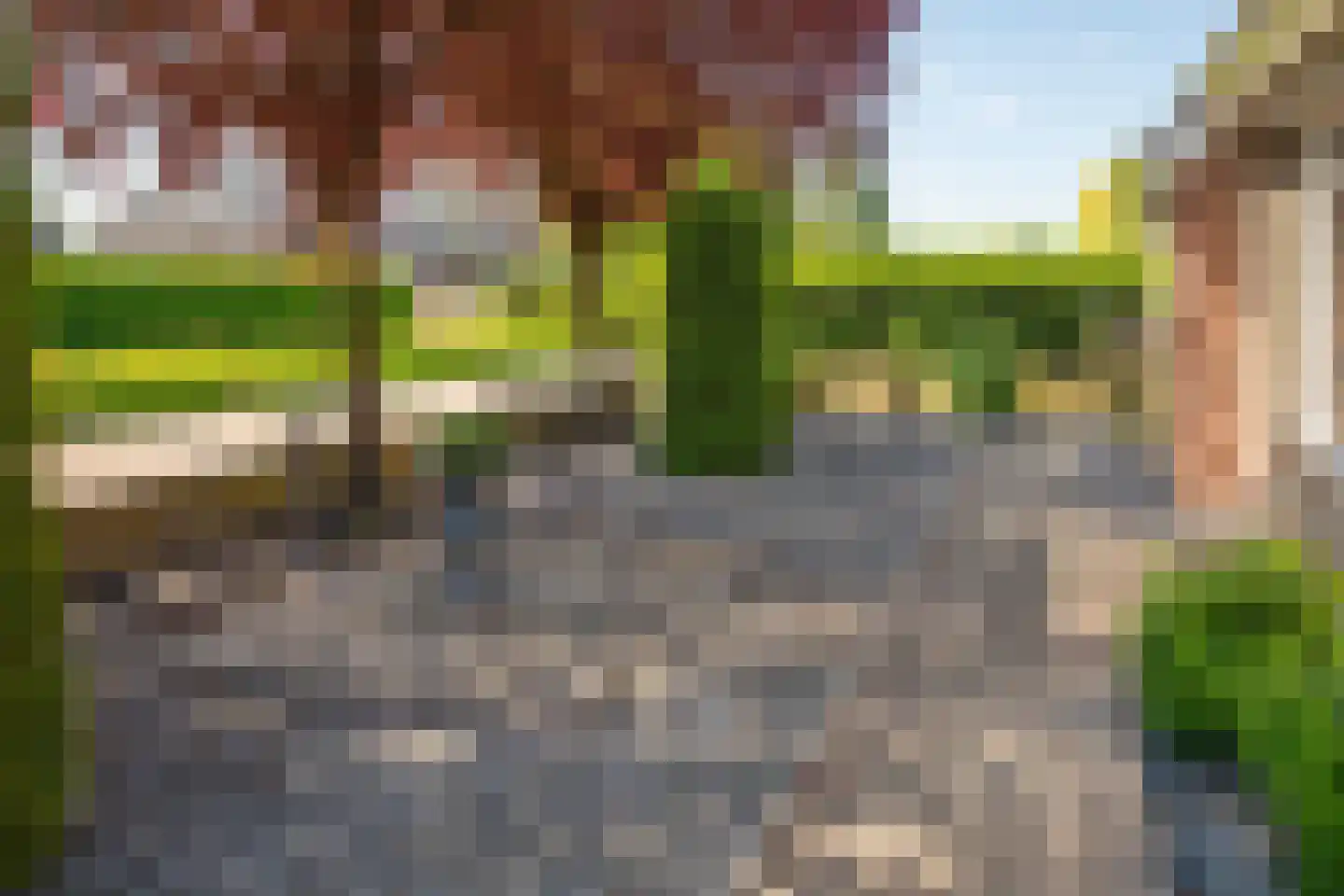 Korte Dorpsstraat 4 Kerk-Avezaath thumbnail 69