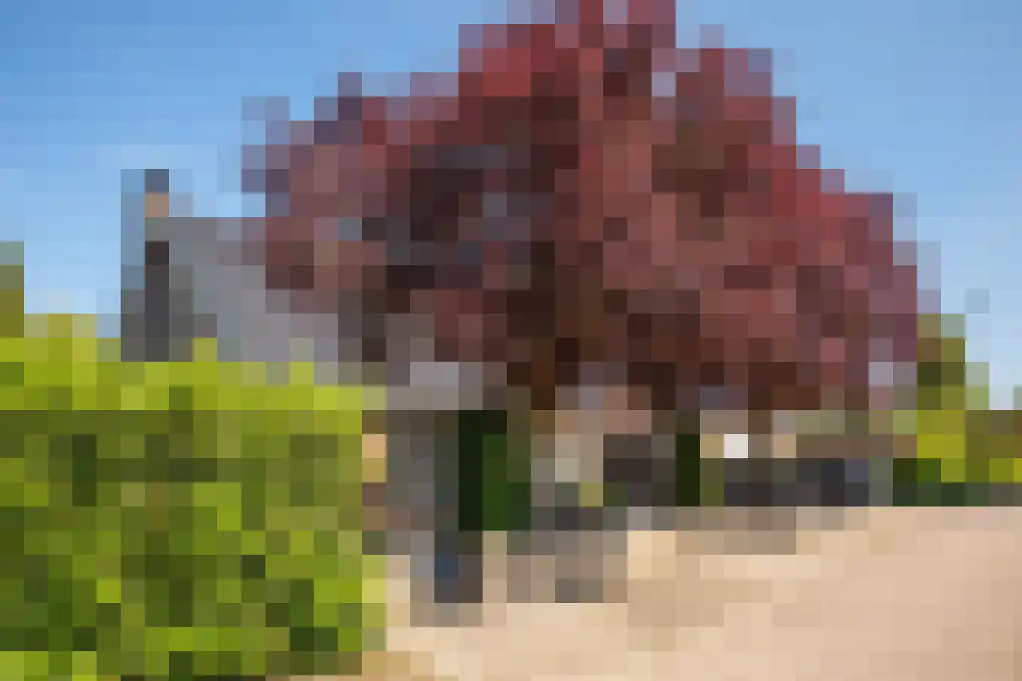 Korte Dorpsstraat 4 Kerk-Avezaath thumbnail 7