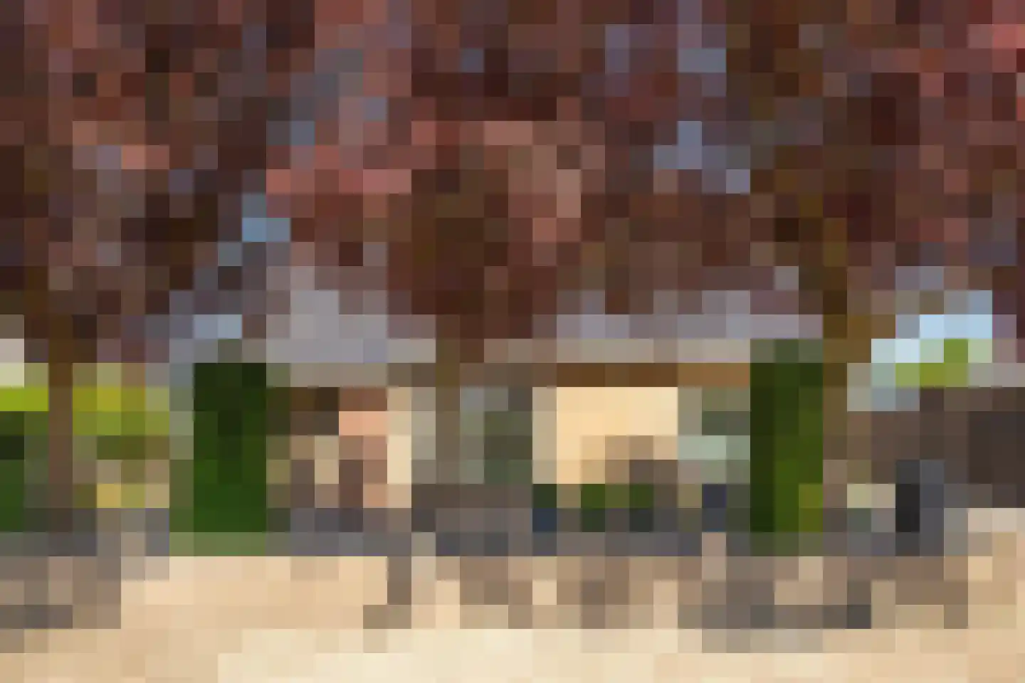 Korte Dorpsstraat 4 Kerk-Avezaath thumbnail 9