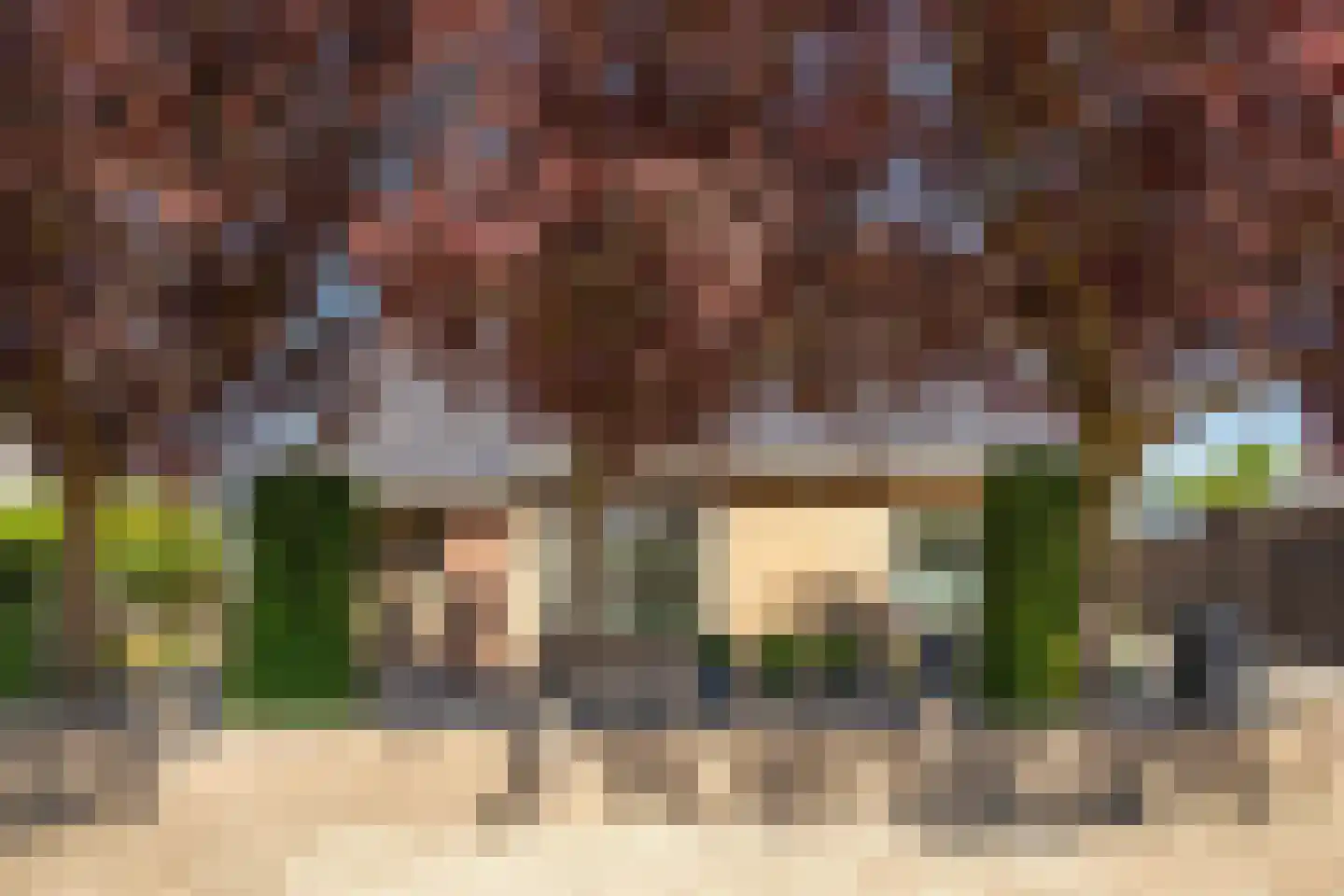 Korte Dorpsstraat 4 Kerk-Avezaath thumbnail 9