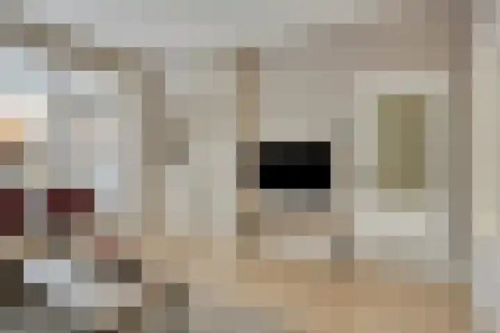 Korte Dreef 16 Emmeloord thumbnail 10