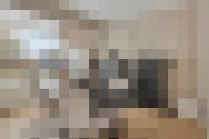 Korte Dreef 16 Emmeloord thumbnail 12