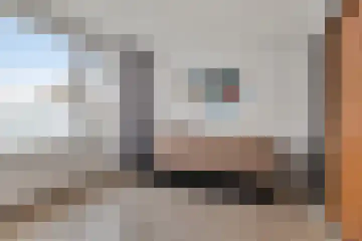 Korte Dreef 16 Emmeloord thumbnail 28