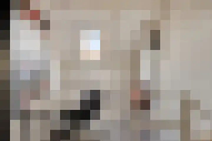 Korte Dreef 16 Emmeloord thumbnail 31