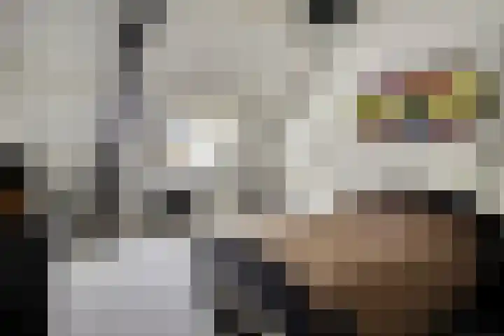 Korte Dreef 16 Emmeloord thumbnail 32