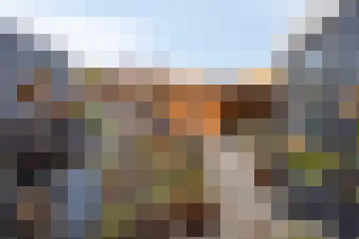 Korte Dreef 16 Emmeloord thumbnail 35