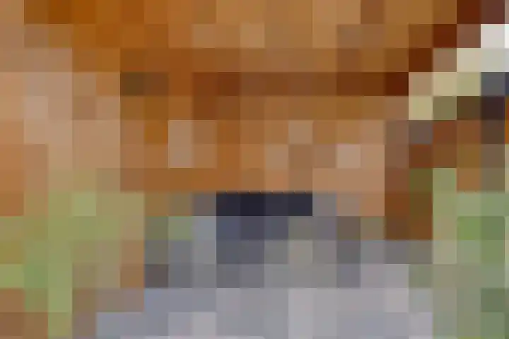 Korte Dreef 16 Emmeloord thumbnail 37