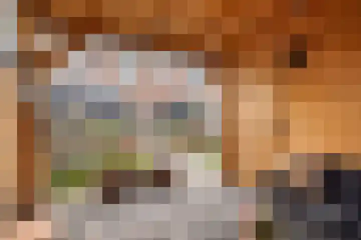 Korte Dreef 16 Emmeloord thumbnail 38