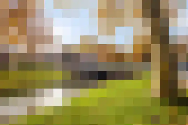 Korte Dreef 16 Emmeloord thumbnail 41