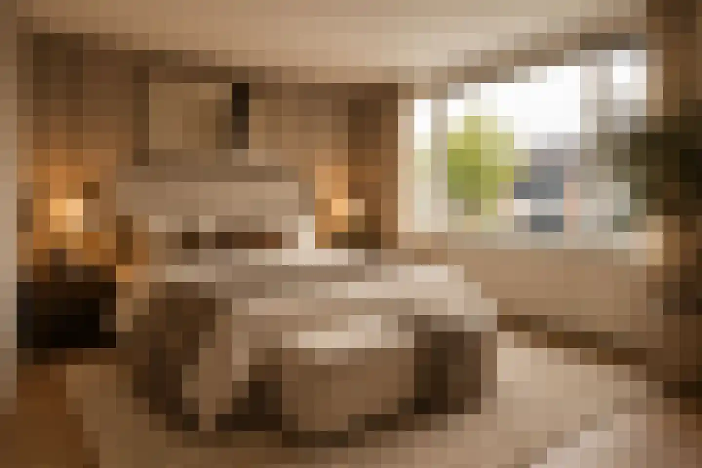 Korte Dreef 22 Veenendaal thumbnail 20