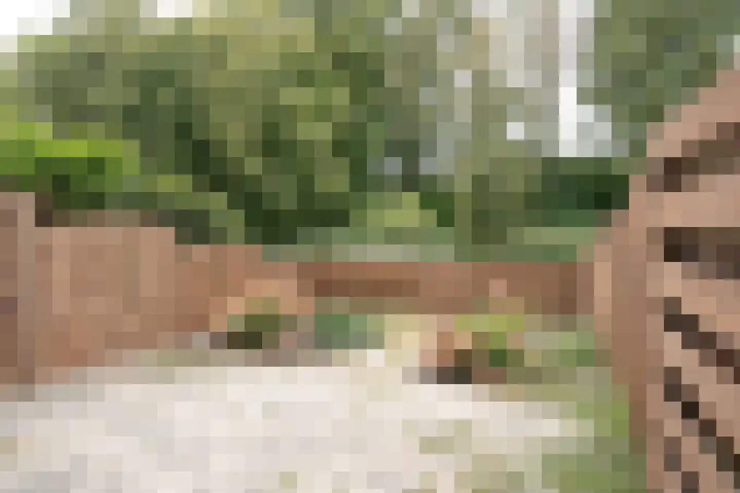 Korte Dreef 22 Veenendaal thumbnail 24