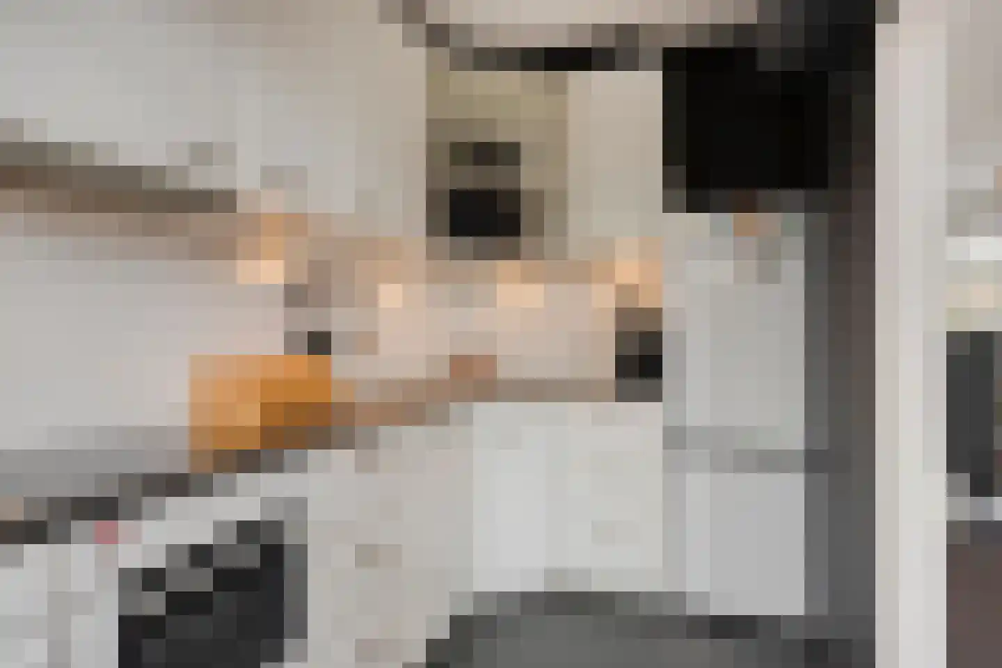 Korte Dreef 3 Emmeloord thumbnail 10