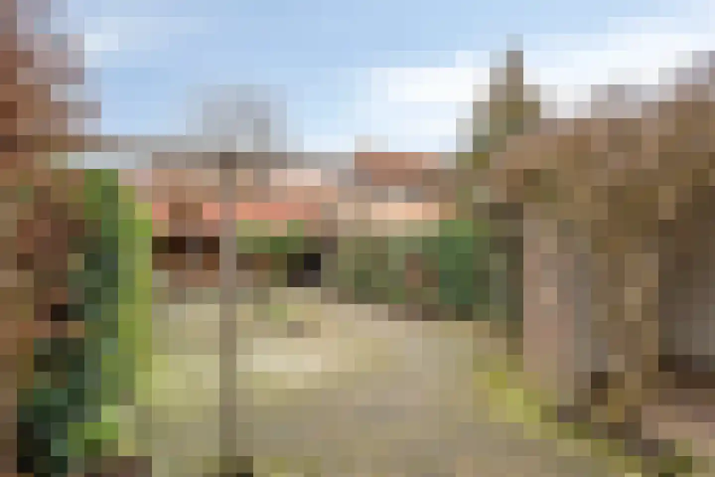 Korte Dreef 3 Emmeloord thumbnail 27