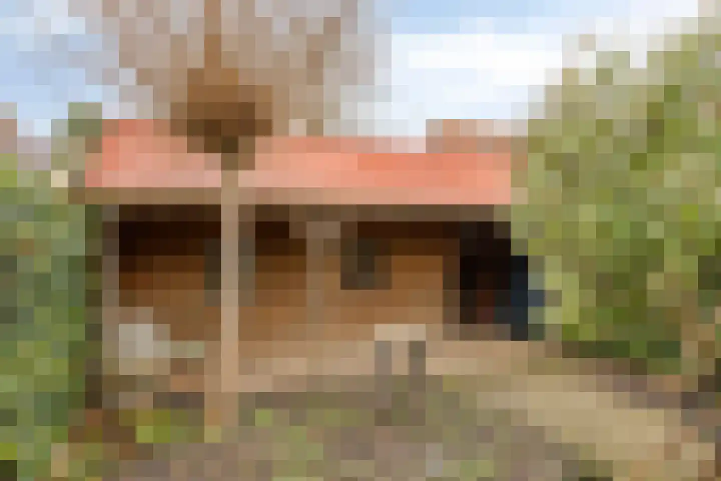 Korte Dreef 3 Emmeloord thumbnail 29