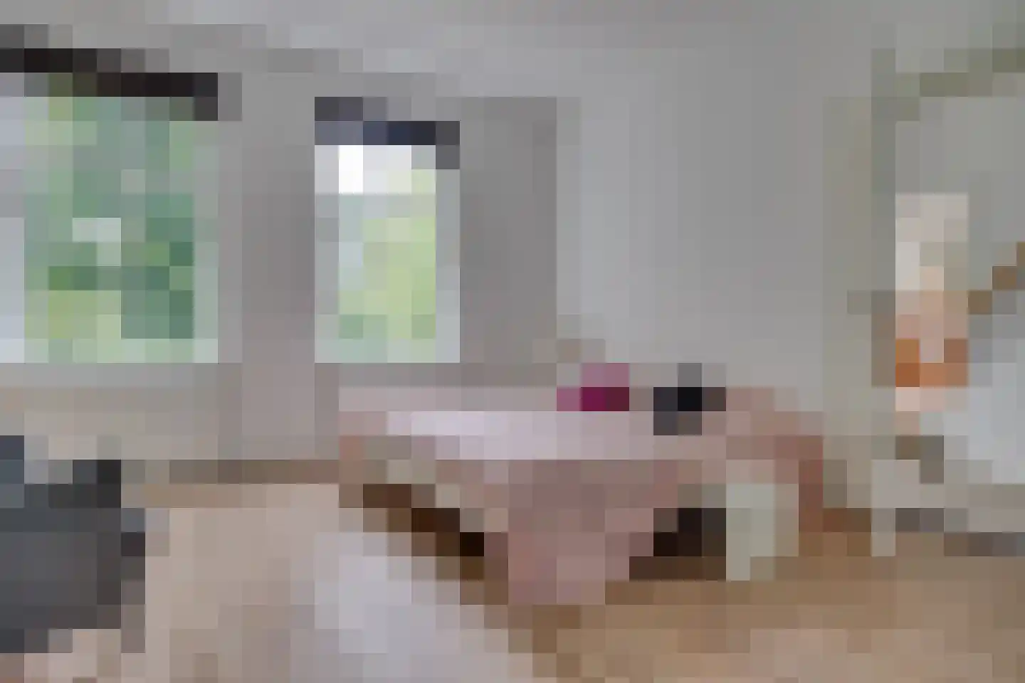 Korte Dreef 7 Driebergen-Rijsenburg thumbnail 29