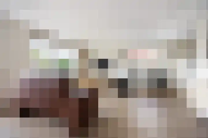 Korte Dreef 8 Etten-Leur thumbnail 11
