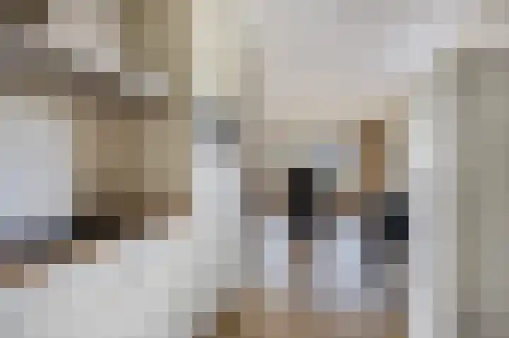 Korte Dreef 8 Etten-Leur thumbnail 15
