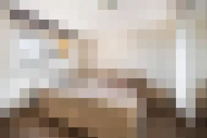 Korte Dreef 8 Etten-Leur thumbnail 17
