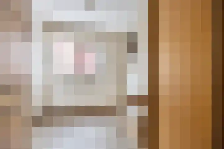 Korte Dreef 8 Etten-Leur thumbnail 19