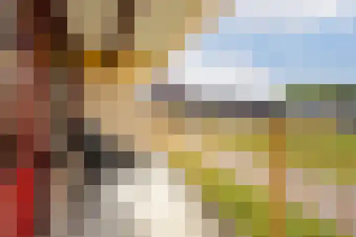Korte Dreef 8 Etten-Leur thumbnail 24