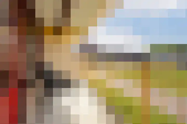 Korte Dreef 8 Etten-Leur thumbnail 4