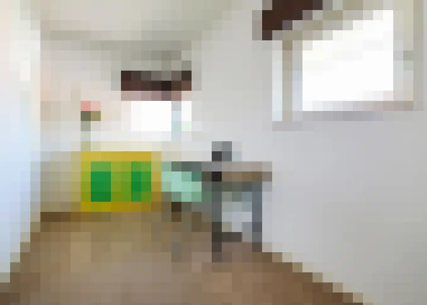 Korte Dreef 8 Heerhugowaard thumbnail 20