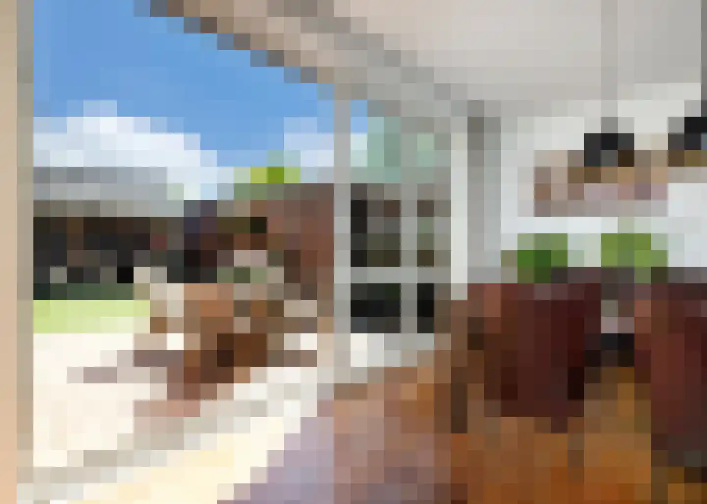 Korte Dreef 8 Heerhugowaard thumbnail 28