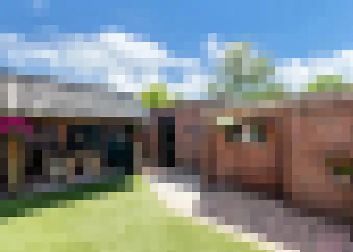 Korte Dreef 8 Heerhugowaard thumbnail 30