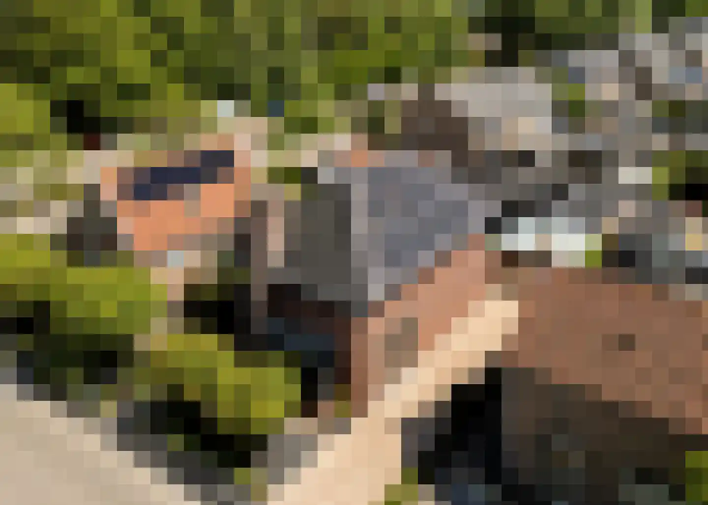Korte Dreef 8 Heerhugowaard thumbnail 37