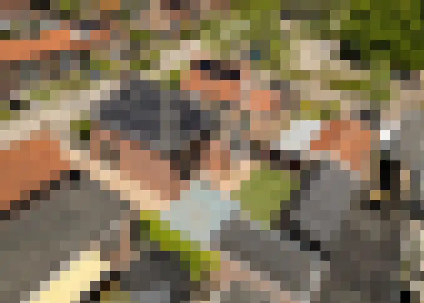 Korte Dreef 8 Heerhugowaard thumbnail 38