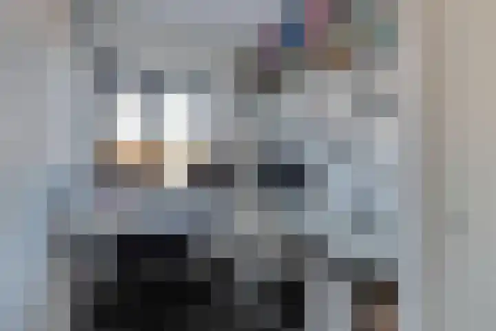 Korte Dreef 9 Emmeloord thumbnail 20
