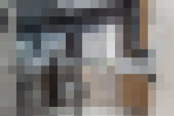 Korte Dreef 9 Emmeloord thumbnail 21